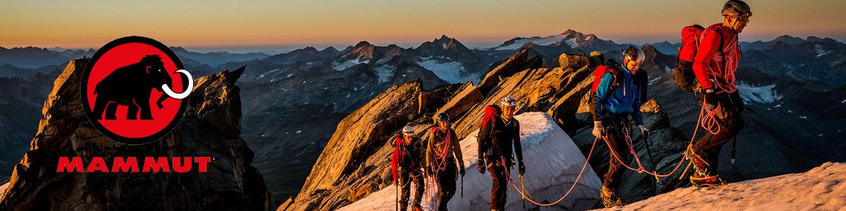 Banner_0d79b662-8955-4dcc-91cf-e05e126166c2